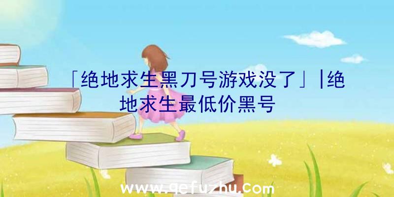 「绝地求生黑刀号游戏没了」|绝地求生最低价黑号